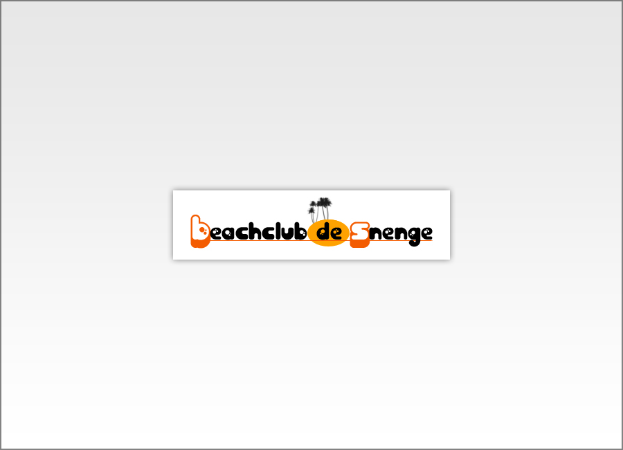 Beachclub de Snenge / Twello / Bussloo / Logo ontwerp